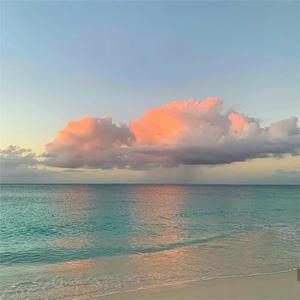 视频在线观看污
