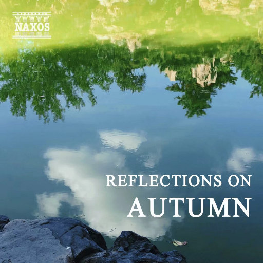 视频在线观看污
